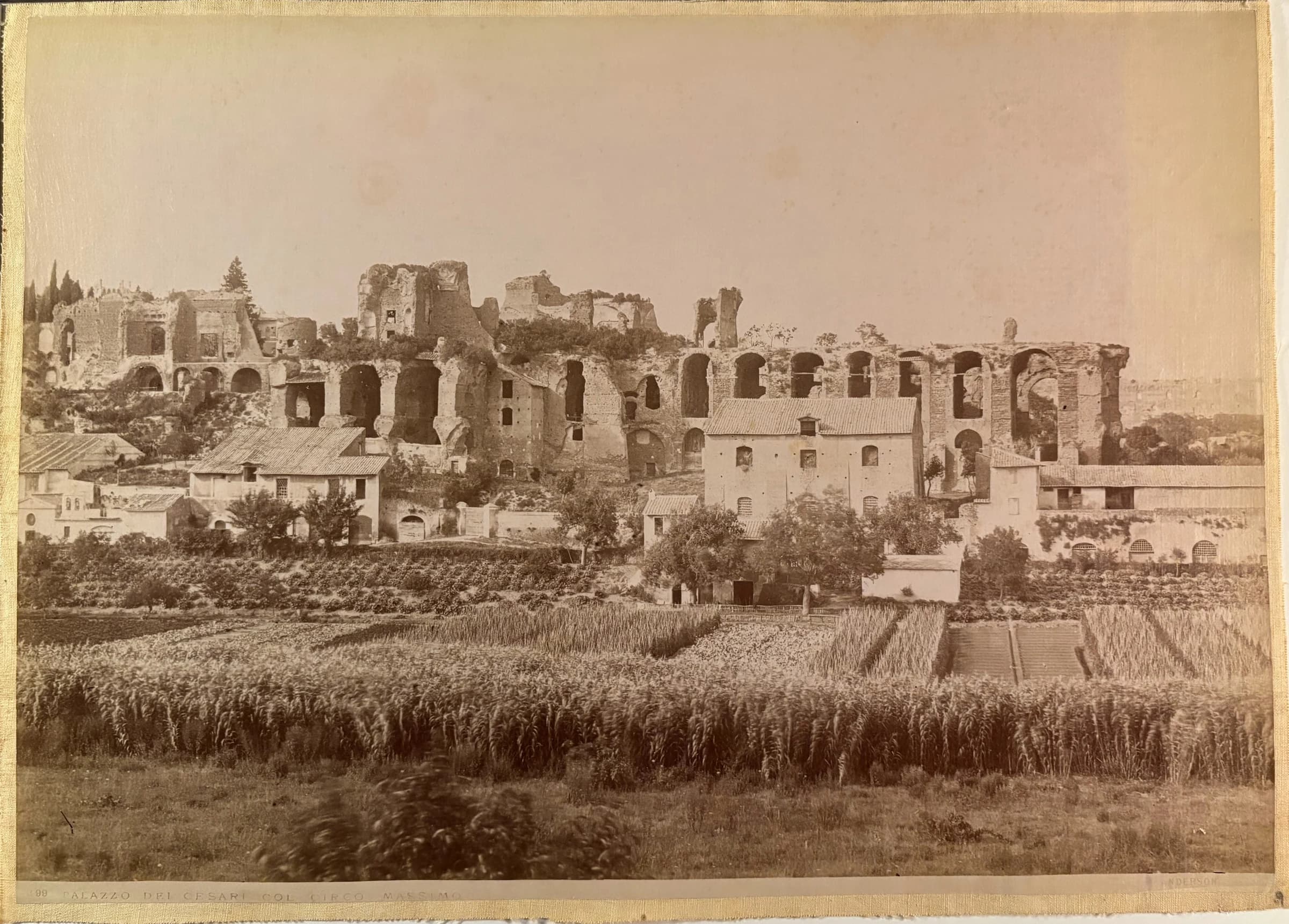 PALAZZO DEI CESARI COL CIRCO MASSIMO