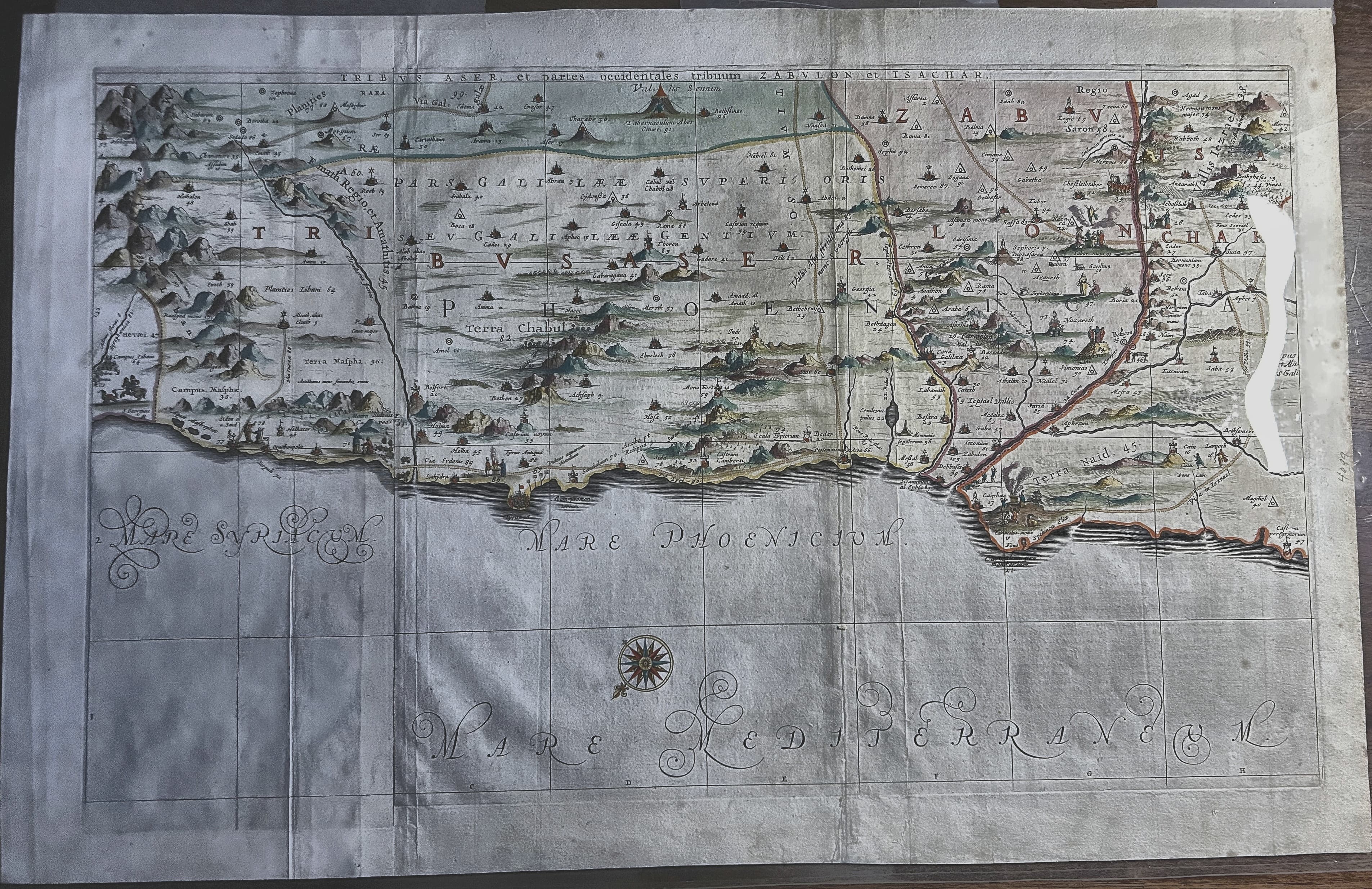 TRIBVS ASER, et partes occidentales tribuum ZABVLON et ISACHAR