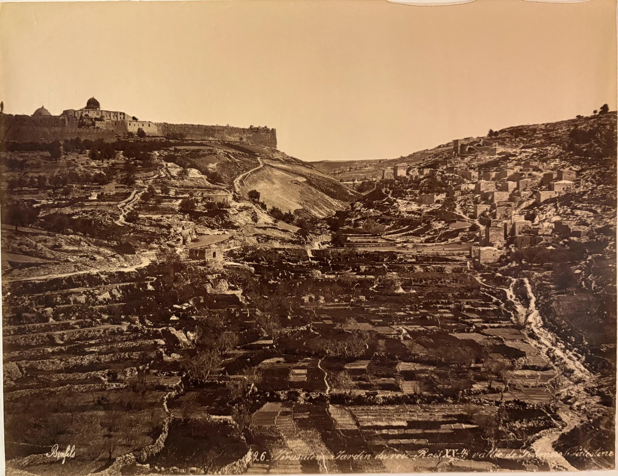 96. Jérusalem Jardin du roi - Rois XV.4 vallée de Josaphat, Palestine