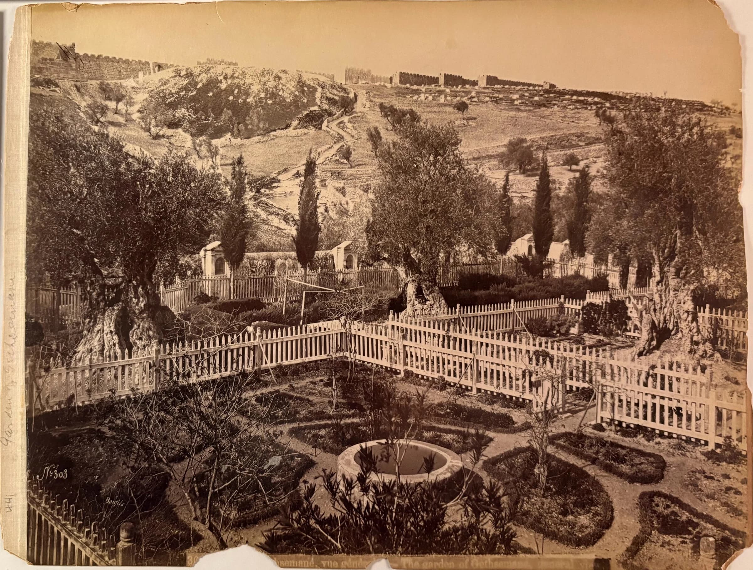 Gethsemané, vue générale - The garden of Gethsemane, general view (No. 303)