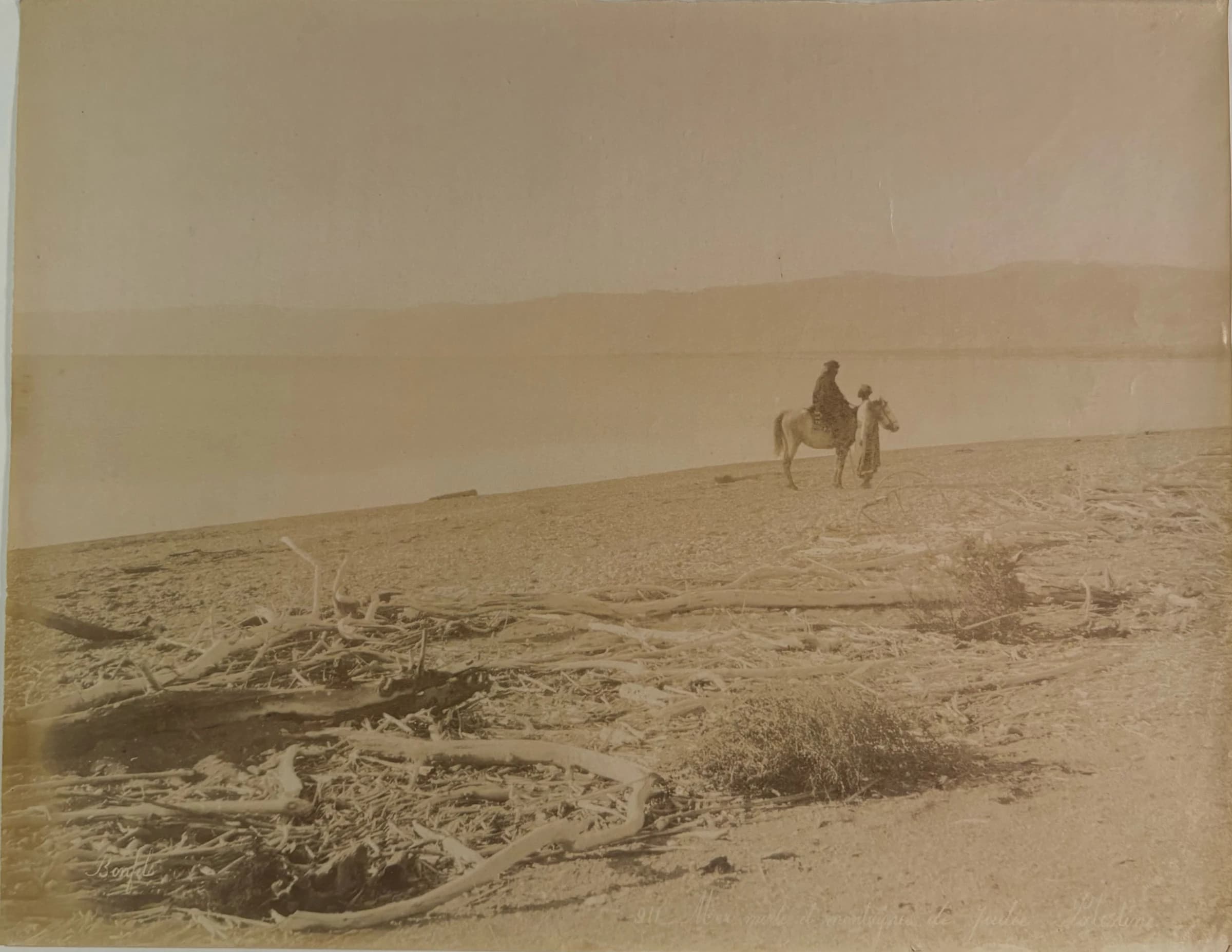 911. Mer morte et montagnes de Judée, Palestine (Dead Sea and Mountains of Judea, Palestine)
