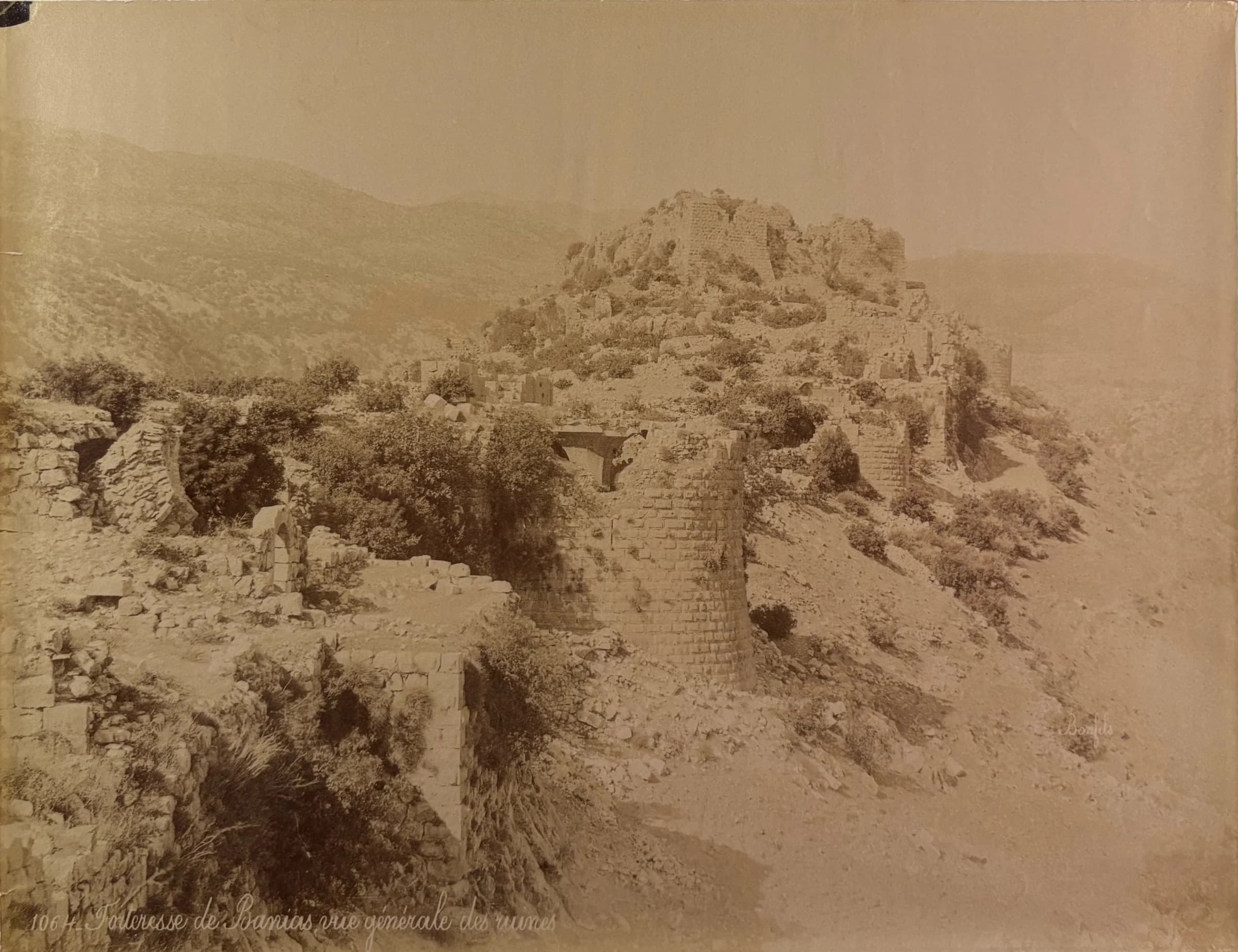 1064. Forteresse de Banias vue générale des ruines